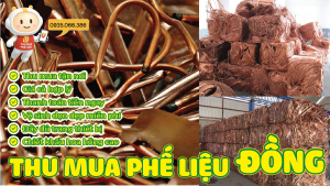 Thu mua phe lieu dong 1