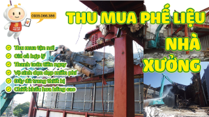 thu mua phe lieu mien Nam 11 Phe Lieu Nha Xuong